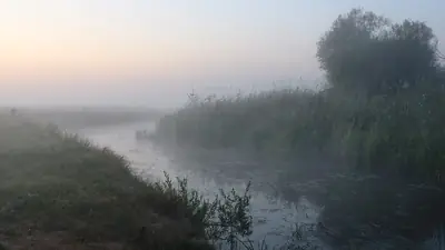 Misty early morning light over a stream