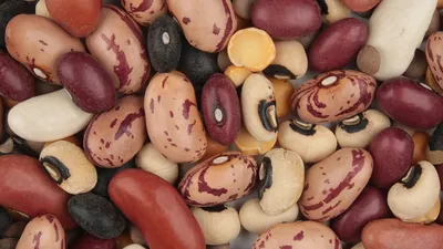 Close-up of a mixture of dried beans in many colors